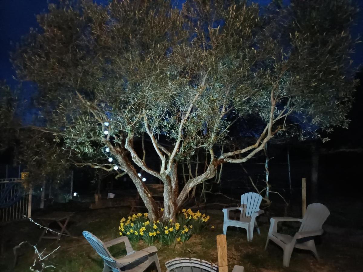 Au Beaulieu Bed & Breakfast Beaulieu  Bagian luar foto